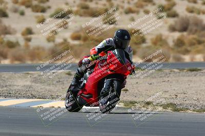 media/Apr-10-2022-SoCal Trackdays (Sun) [[f104b12566]]/Turn 5 Tree of Life (1040am)/